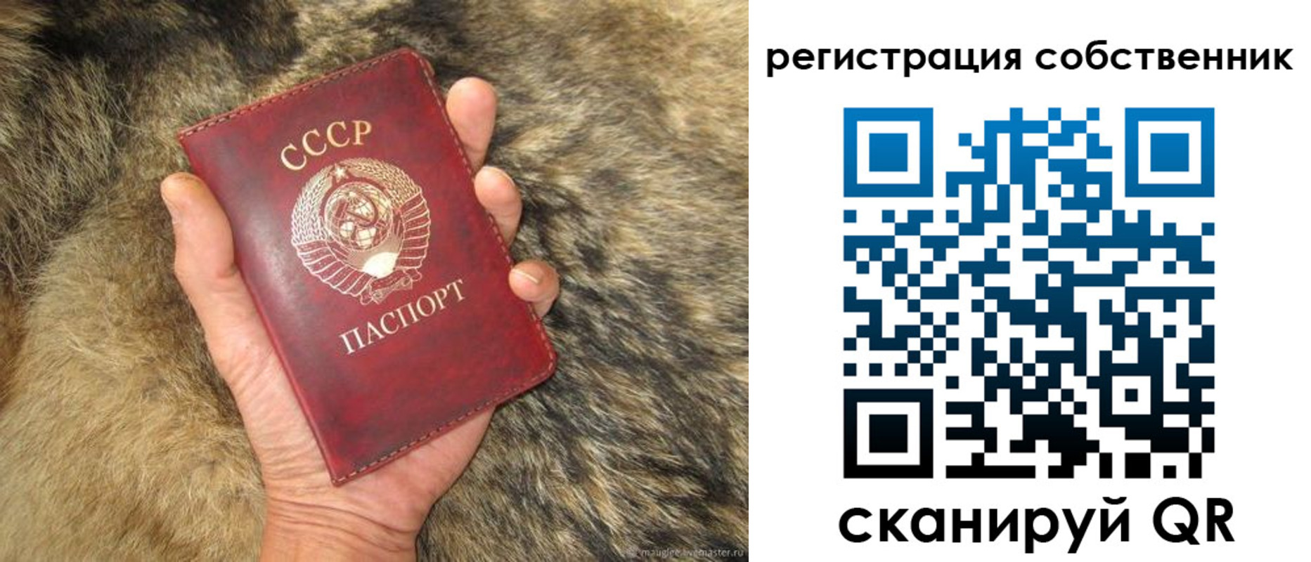 прописка 2025 в Ишиме